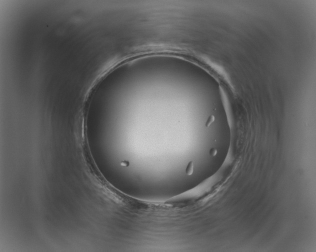 X0000073841365200608170956