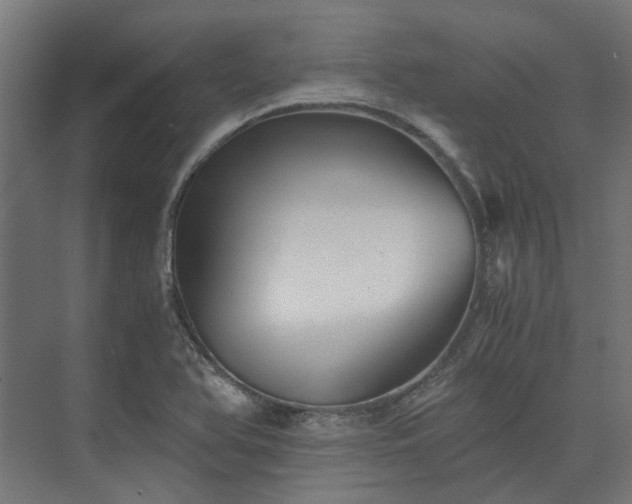 X0000073841366200608170956