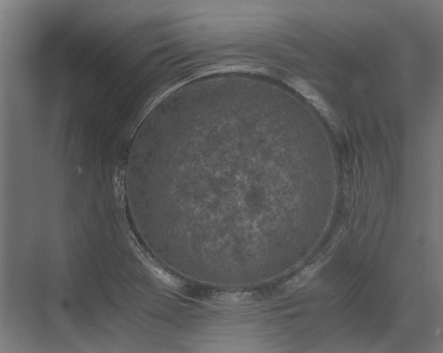 X0000073841369200608170956