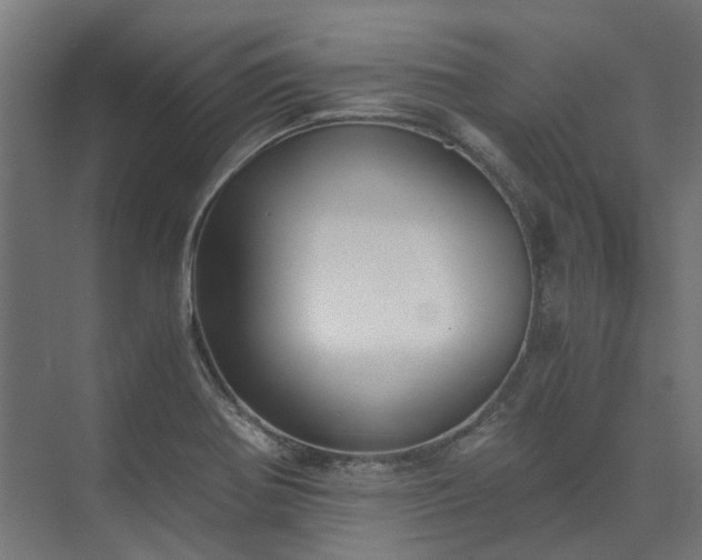 X0000073841370200608170956