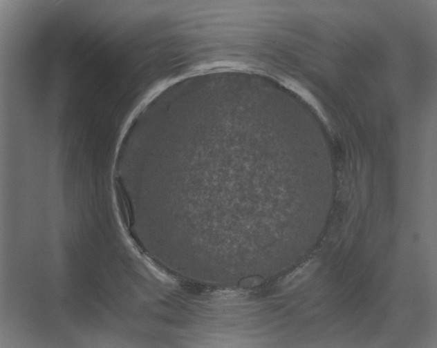 X0000073841373200608170956