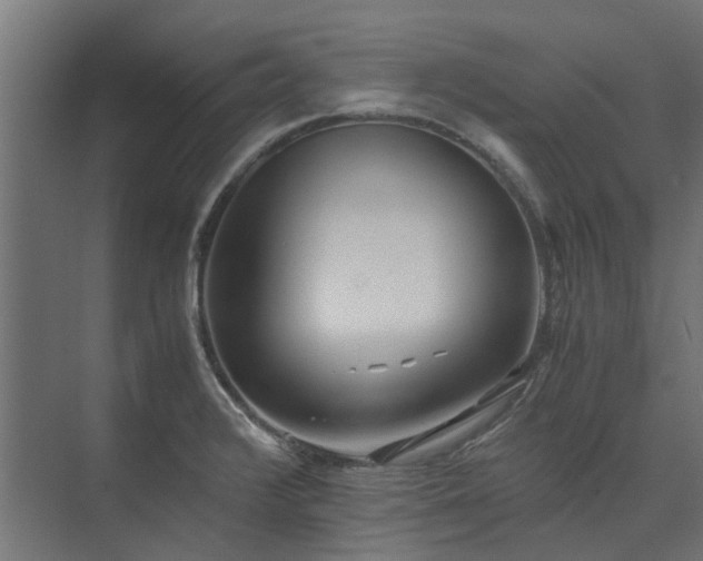 X0000073841376200608170956