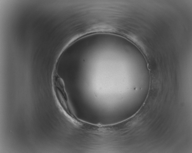 X0000073841383200608170955