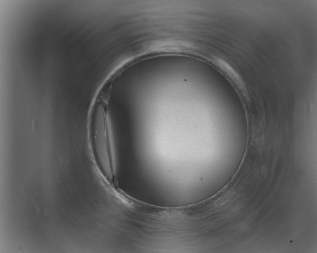 X0000073841384200608170955