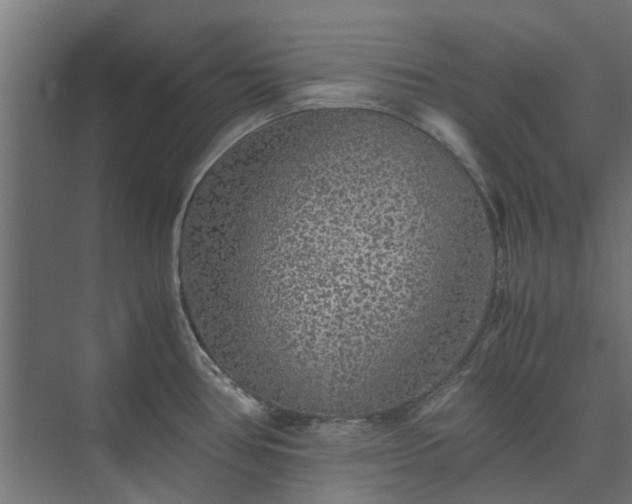 X0000073841386200608170955