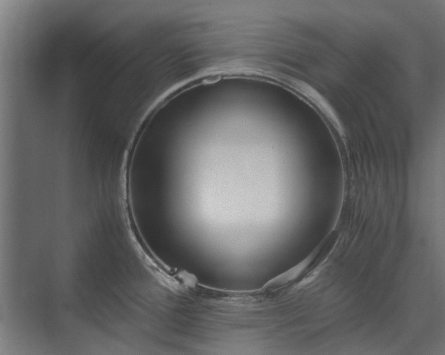 X0000073841388200608170955