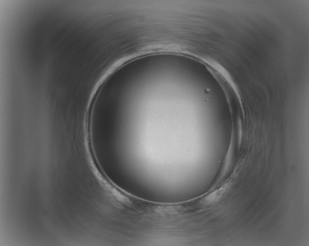 X0000073841389200608170955