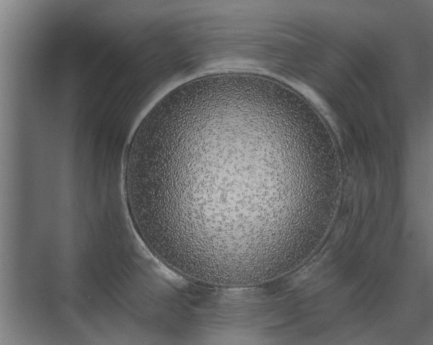 X0000073841390200608170955