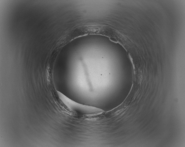 X0000073841394200608170955