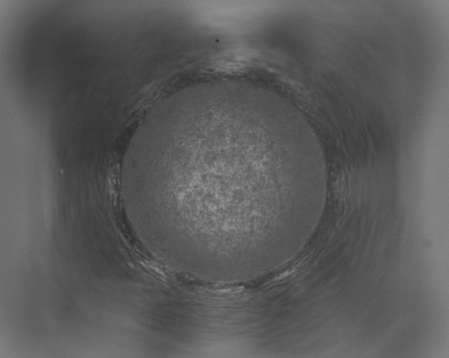 X0000073841397200608170955