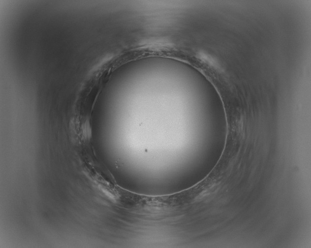 X0000073841398200608170955