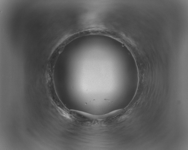 X0000073841400200608170955