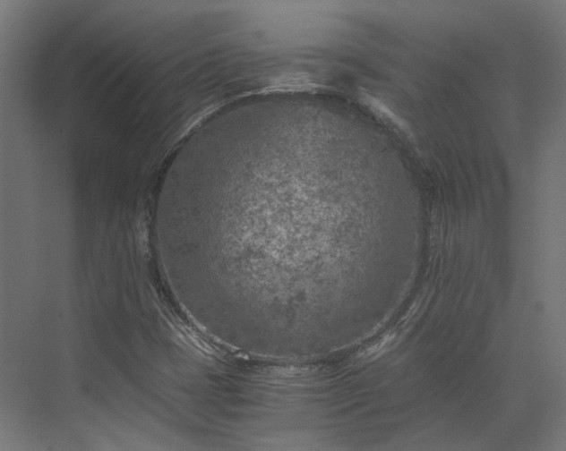 X0000073841401200608170955