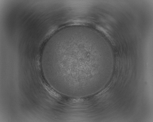 X0000073841403200608170955