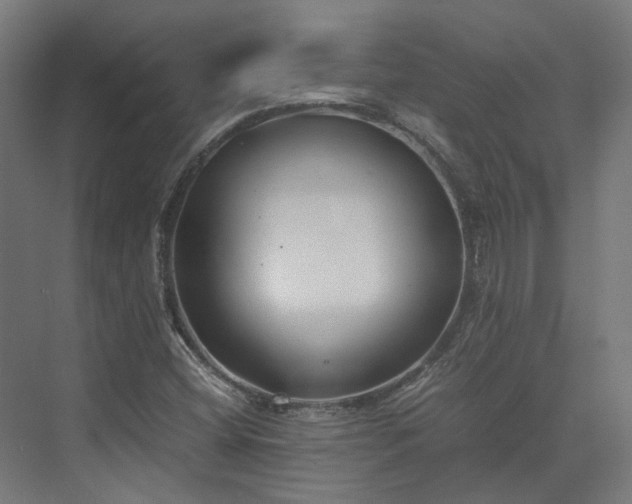 X0000073841404200608170955