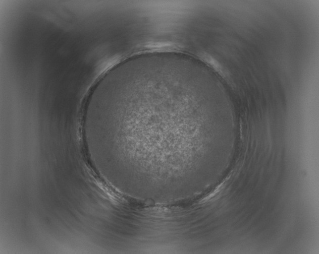 X0000073841405200608170955