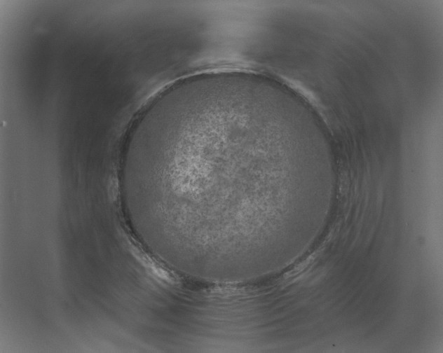 X0000073841407200608170955