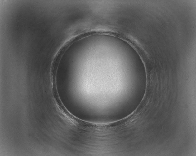 X0000073841408200608170955