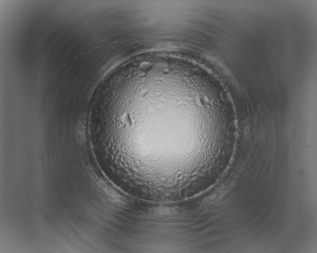 X0000073841409200608170955