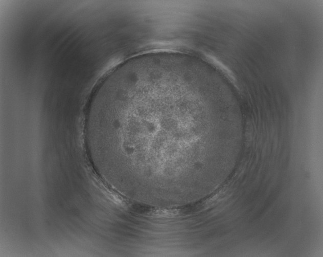 X0000073841411200608170955