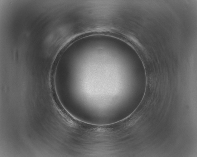 X0000073841412200608170955