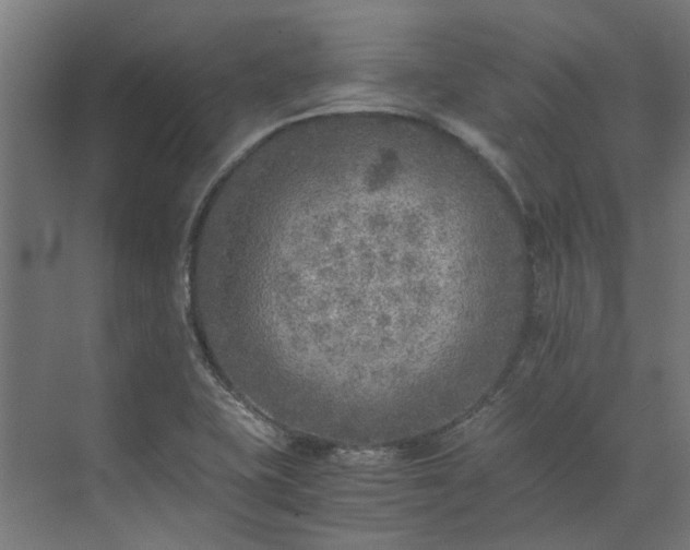 X0000073841415200608170955