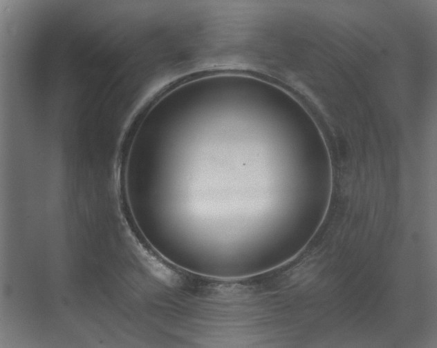 X0000073841416200608170955