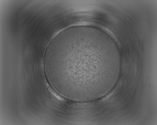 X0000073841417200608170955