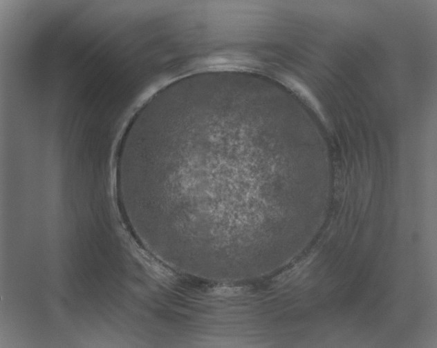 X0000073841419200608170955