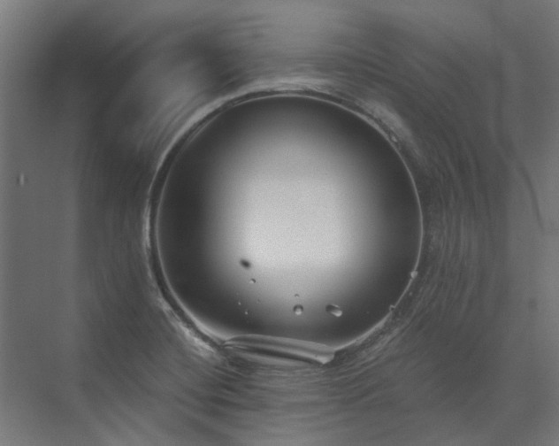 X0000073841420200608170955