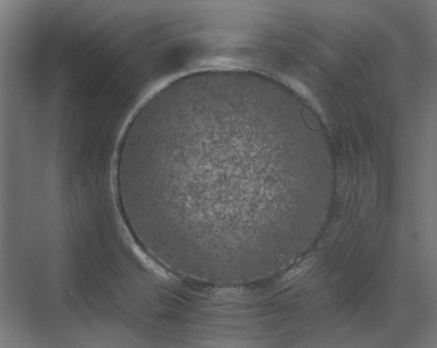 X0000073841421200608170955