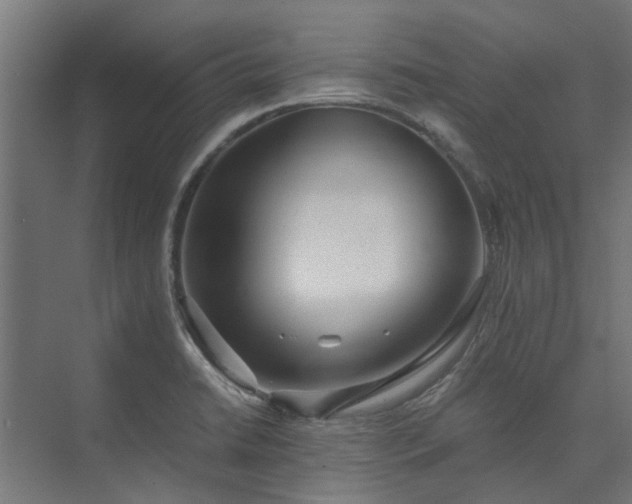 X0000073841422200608170955