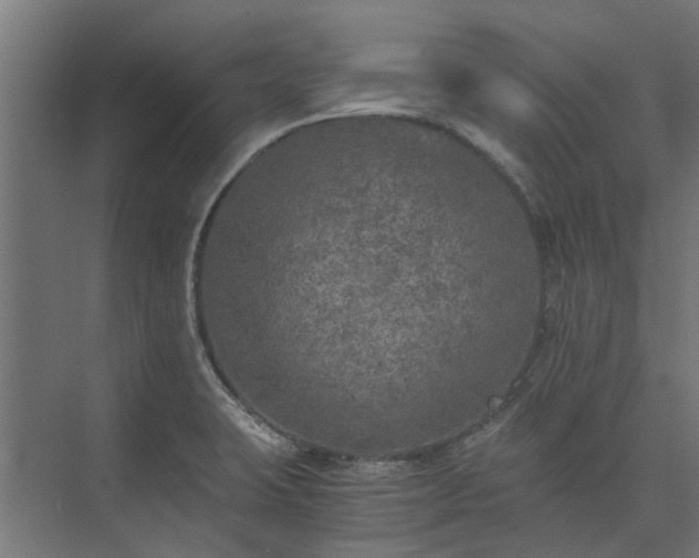 X0000073841423200608170955