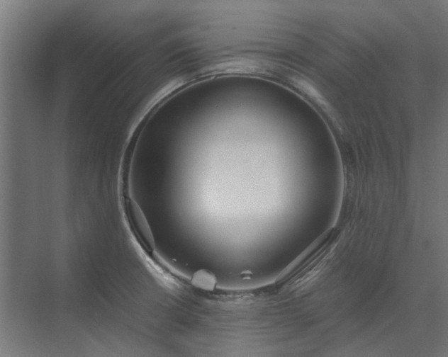 X0000073841426200608170955