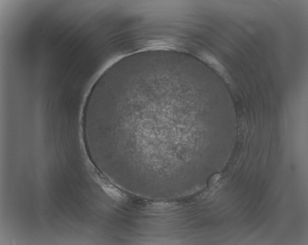 X0000073841427200608170955