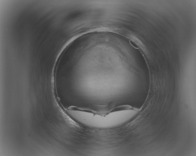 X0000073841428200608170955