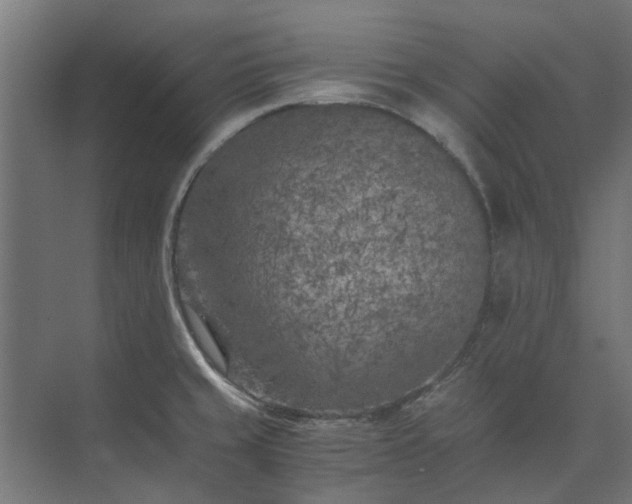 X0000073841429200608170955