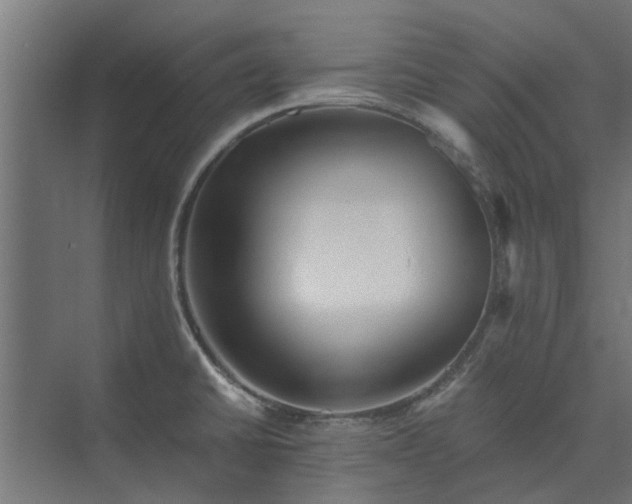 X0000073841430200608170955