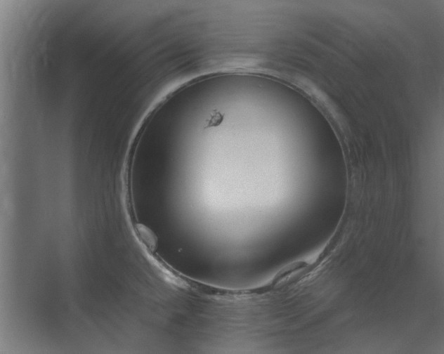 X0000073841432200608170955