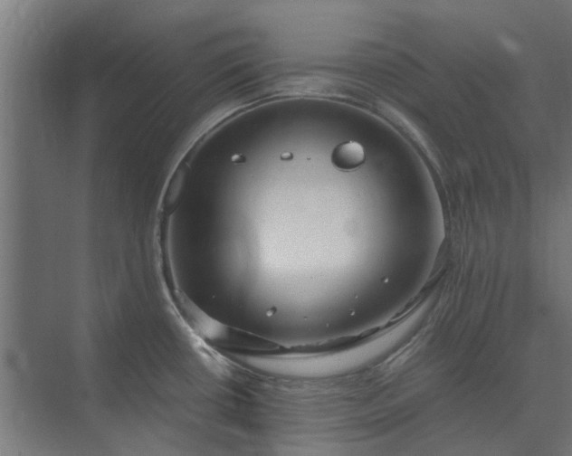 X0000073841434200608170955