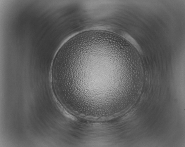 X0000073841436200608170955