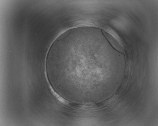 X0000073841439200608170955