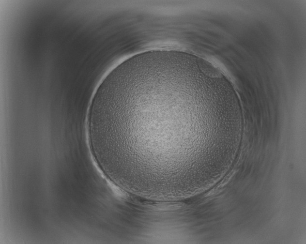 X0000073841440200608170955