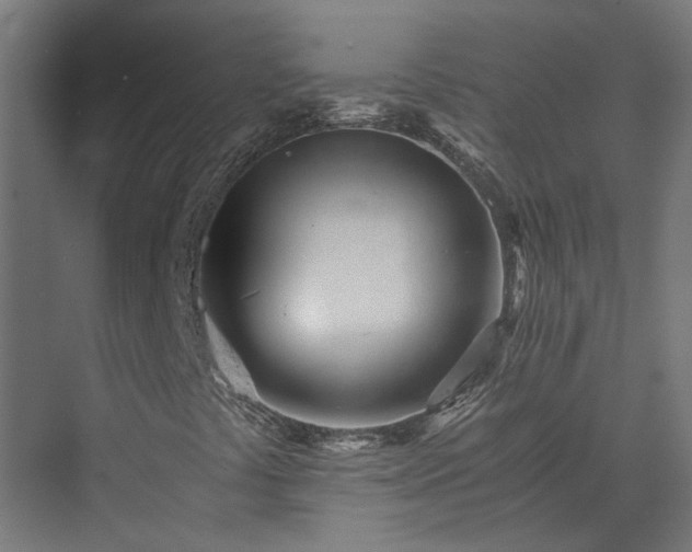 X0000073841441200608170954