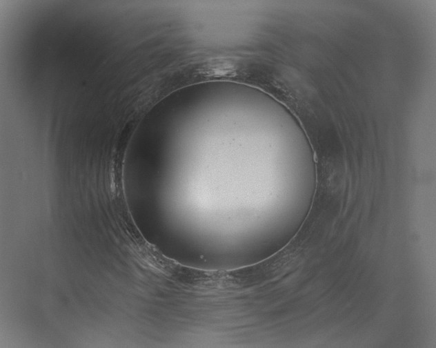 X0000073841442200608170954