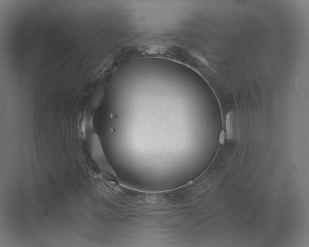 X0000073841443200608170954