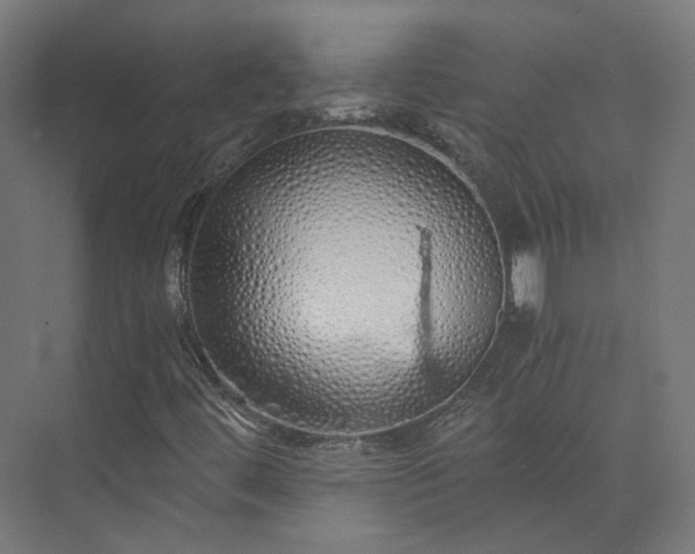 X0000073841444200608170954