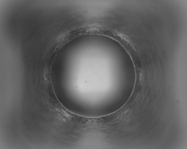 X0000073841445200608170954