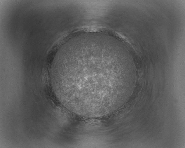 X0000073841446200608170954