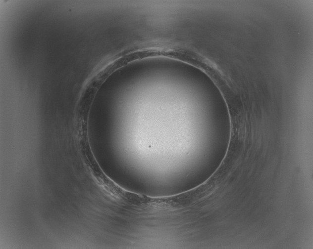 X0000073841448200608170954